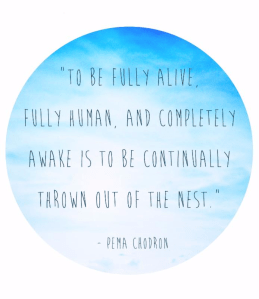 Pema Chodron Fully Human
