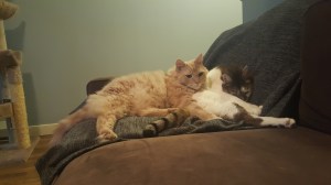 Leo and Sawyer Leo and Sawyer