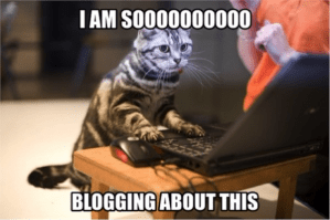 Blogging-cat