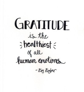 Zigler Gratitude
